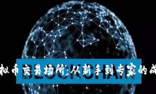 掌握虚拟币交易场所：从新手到专家的成长之路