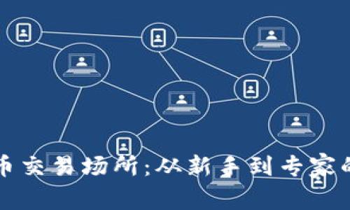 掌握虚拟币交易场所：从新手到专家的成长之路