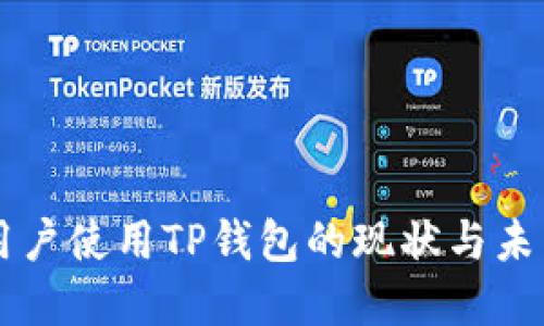 大陆用户使用TP钱包的现状与未来展望