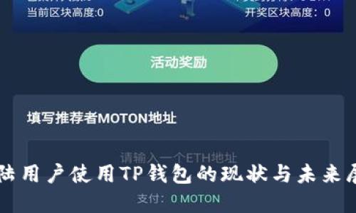 大陆用户使用TP钱包的现状与未来展望