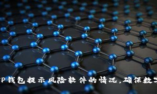 如何应对TP钱包提示风险软件的情况，确保数字资产安全
