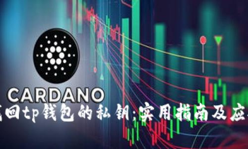 如何找回tp钱包的私钥：实用指南及应对策略