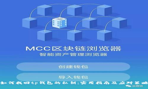 如何找回tp钱包的私钥：实用指南及应对策略